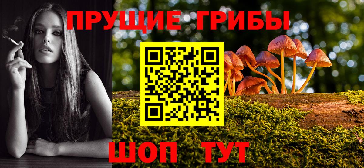 Прокопьевск  Галлюциногенные грибы Magic Shrooms  Вход с VPN  Галлюциногенные грибы Cubensis 