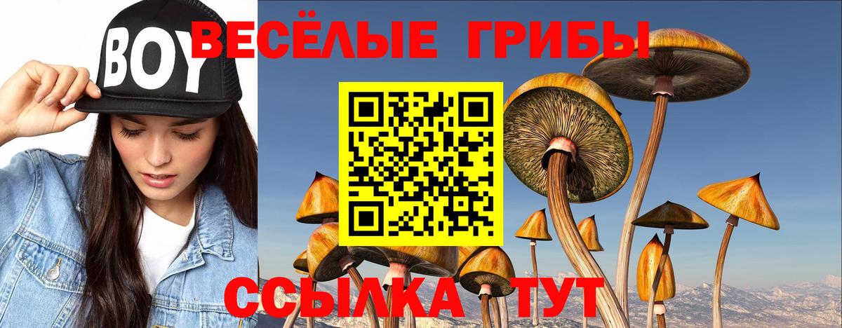 Галлюциногенные грибы Cubensis Прокопьевск